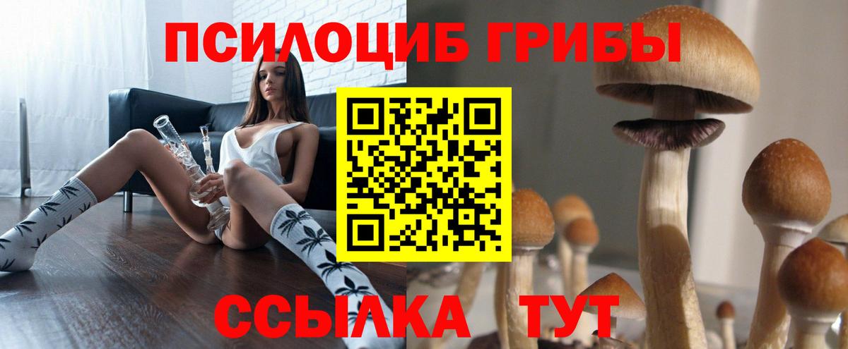 Псилоцибиновые грибы мухоморы  Вход с VPN  Зима  Псилоцибиновые грибы Cubensis 