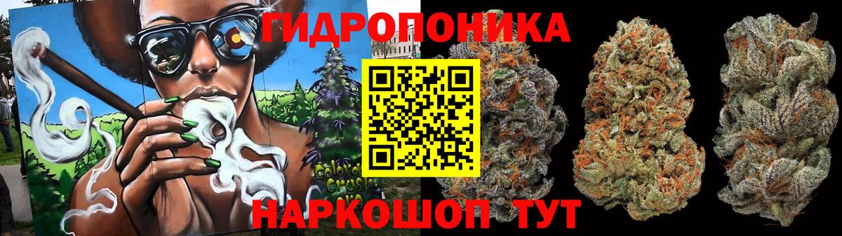 Шишки марихуана OG Kush Зима